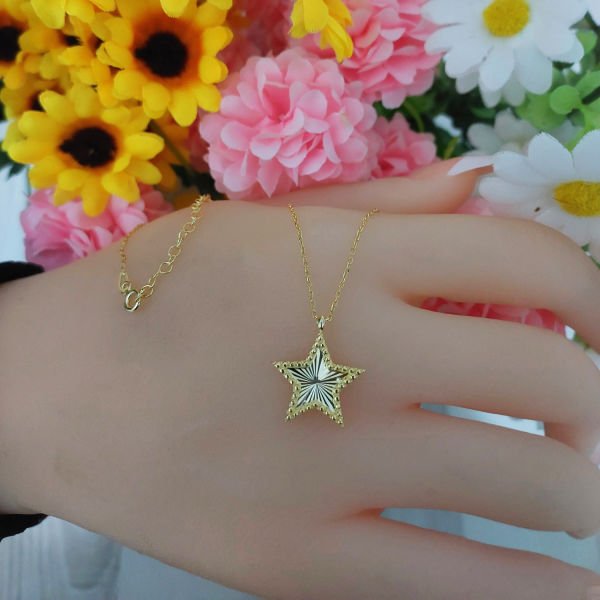 Gümüş Kalemli Yıldız Kolye