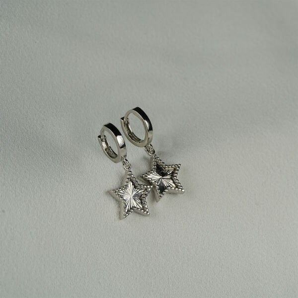 Gümüş Kalemli Yıldız Küpe