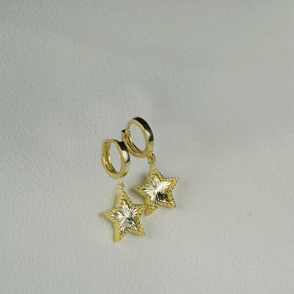 Gümüş Kalemli Yıldız Küpe