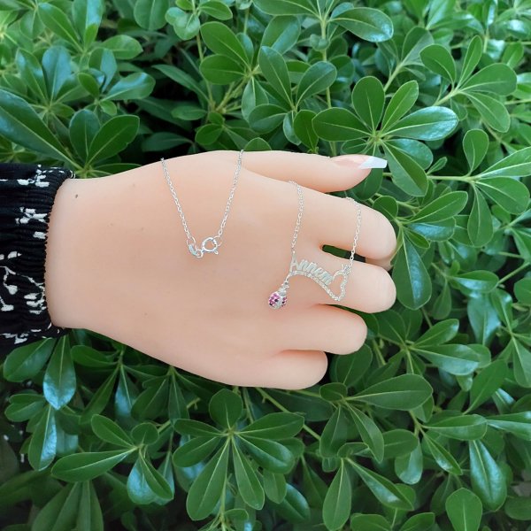 Gümüş Tek Taş Kalpli Uğur Böcekli İsimli Kolye