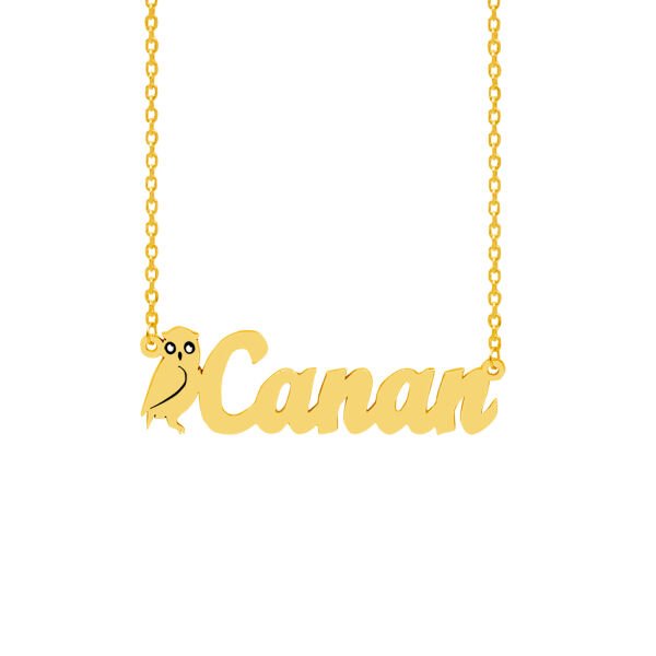 Gümüş Baykuş Tasarımlı İsimli Kolye