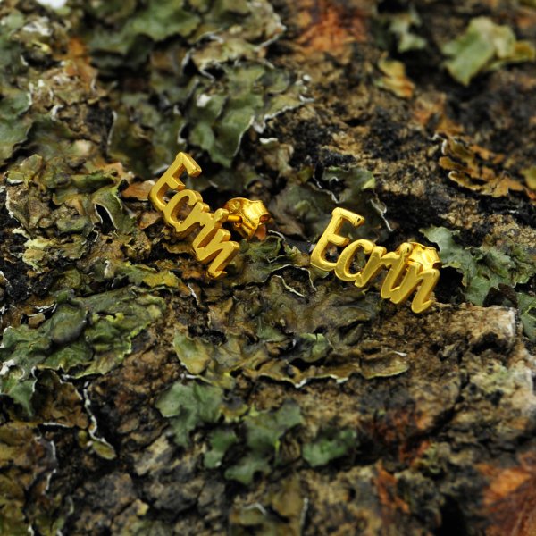 Gümüş Kişiye Özel Tasarım İsimli Küpe