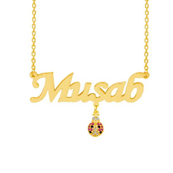 Gümüş Taşlı Uğur Böcekli Sallantı İsimli Kolye