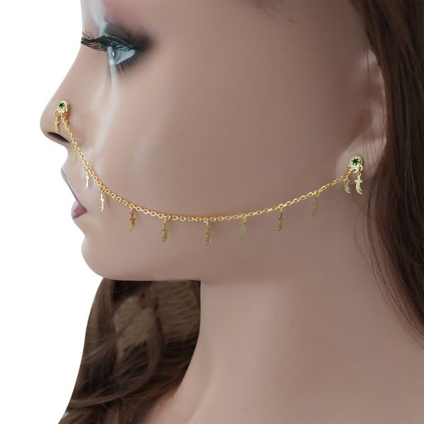 Gümüş Kulaktan Buruna Hızma