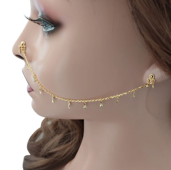 Gümüş Pullu Burundan Kulağa Hızma